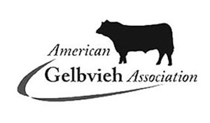 American Gelbvieh Association American Gelbvieh Association