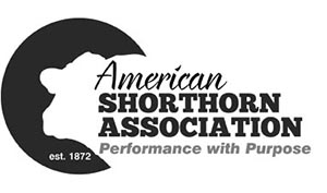 American Shorthorn Association American Shorthorn Association