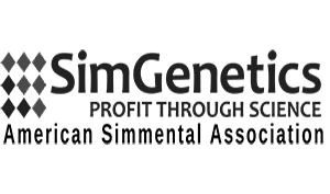 American Simmental Association American Simmental Association