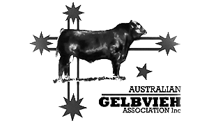 austgelbieh austgelbieh