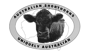 Australian Shorthorn Australian Shorthorn