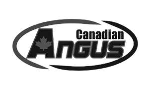 Canadian Angus Association Canadian Angus Association